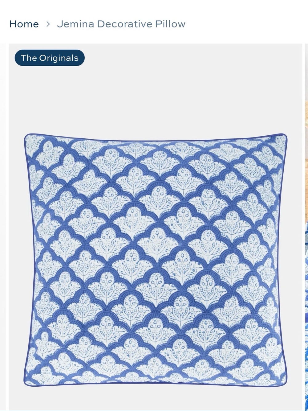 Roller Rabbit Jemina 20” blue decorative pillow with insert